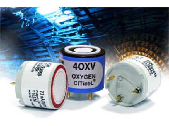 Gas Monitor : BW GasalertMicro 5 - Replacement Hydrogen Sulphide Sensor