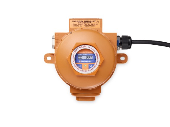 Xgard Bright Detector