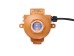 Xgard Bright Detector